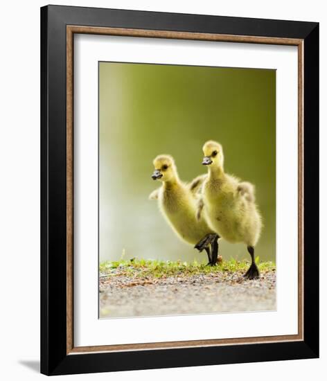 1 2 3 Go!-null-Framed Art Print