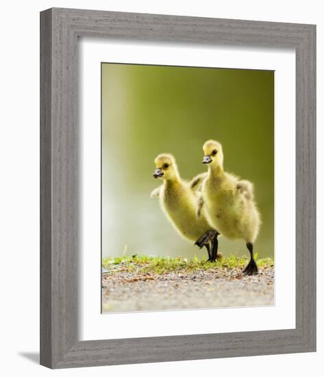 1 2 3 Go!-null-Framed Art Print