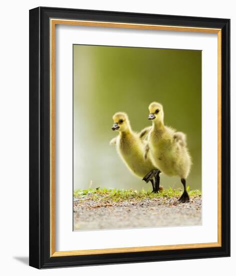 1 2 3 Go!-null-Framed Art Print