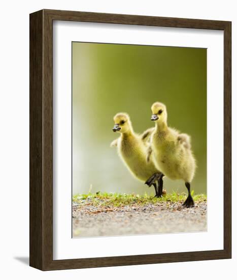 1 2 3 Go!-null-Framed Art Print