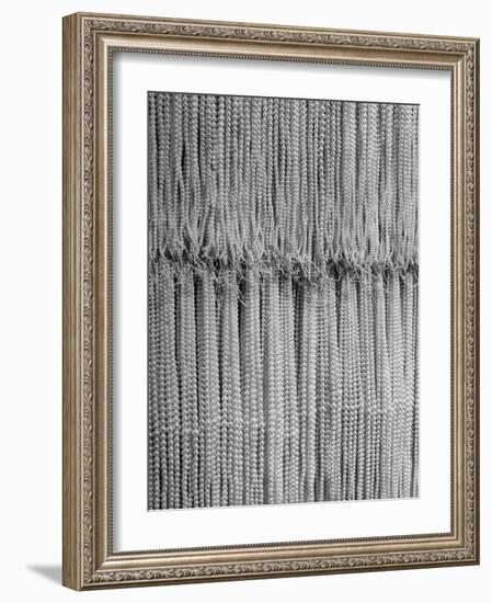 1,500 Strings of Pearls Hanging in Factory Before Shipping-Alfred Eisenstaedt-Framed Photographic Print