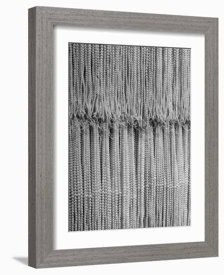 1,500 Strings of Pearls Hanging in Factory Before Shipping-Alfred Eisenstaedt-Framed Photographic Print