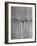 1,500 Strings of Pearls Hanging in Factory Before Shipping-Alfred Eisenstaedt-Framed Photographic Print