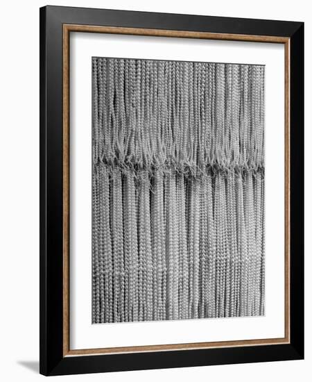 1,500 Strings of Pearls Hanging in Factory Before Shipping-Alfred Eisenstaedt-Framed Photographic Print