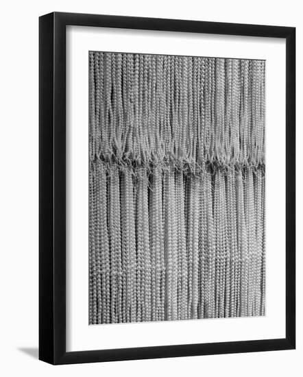 1,500 Strings of Pearls Hanging in Factory Before Shipping-Alfred Eisenstaedt-Framed Photographic Print