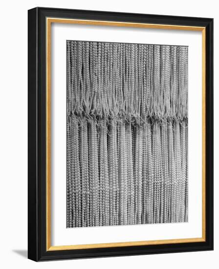 1,500 Strings of Pearls Hanging in Factory Before Shipping-Alfred Eisenstaedt-Framed Photographic Print