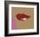 1 page from Lips Book, c. 1975-Andy Warhol-Framed Art Print