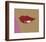 1 page from Lips Book, c. 1975-Andy Warhol-Framed Art Print