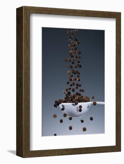 1 Tablespoon Black Pepper-Steve Gadomski-Framed Photographic Print