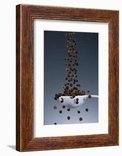 1 Tablespoon Black Pepper-Steve Gadomski-Framed Photographic Print