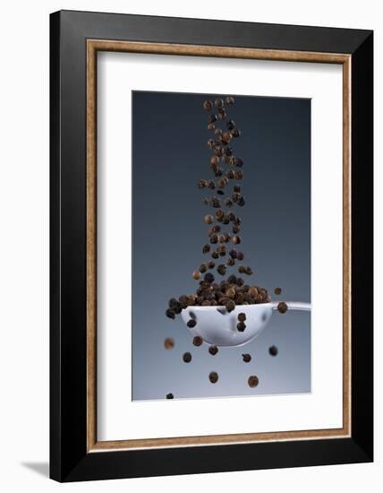 1 Tablespoon Black Pepper-Steve Gadomski-Framed Photographic Print