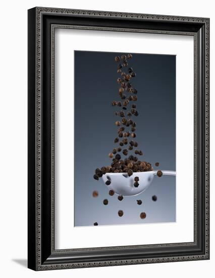 1 Tablespoon Black Pepper-Steve Gadomski-Framed Photographic Print