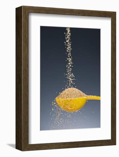 1 Tablespoon Brown Sugar-Steve Gadomski-Framed Photographic Print