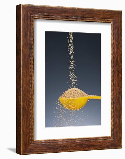 1 Tablespoon Brown Sugar-Steve Gadomski-Framed Photographic Print