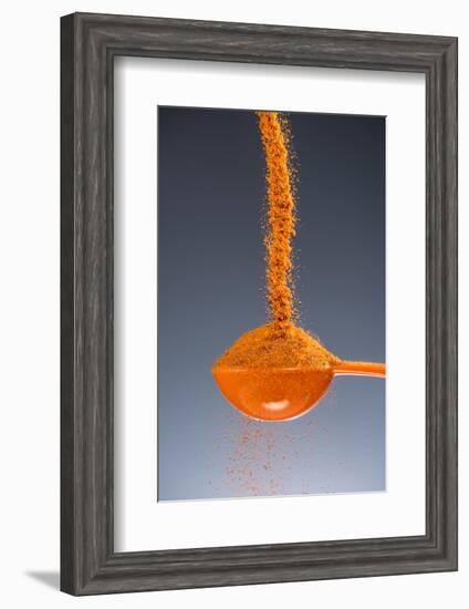 1 Tablespoon Cayenne Pepper-Steve Gadomski-Framed Photographic Print