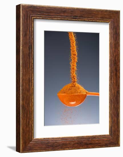 1 Tablespoon Cayenne Pepper-Steve Gadomski-Framed Photographic Print