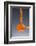 1 Tablespoon Cayenne Pepper-Steve Gadomski-Framed Photographic Print