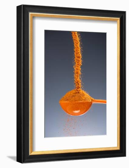 1 Tablespoon Cayenne Pepper-Steve Gadomski-Framed Photographic Print