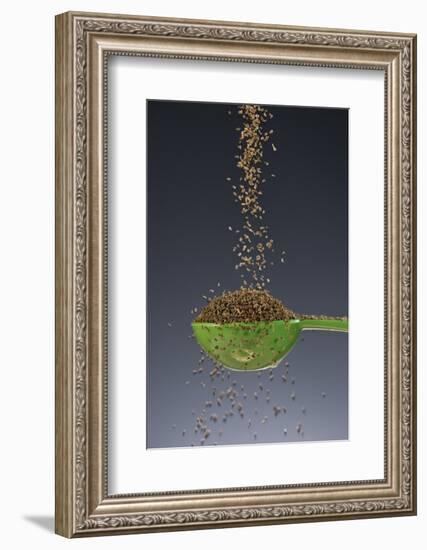 1 Tablespoon Celery Seed-Steve Gadomski-Framed Photographic Print