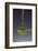 1 Tablespoon Celery Seed-Steve Gadomski-Framed Photographic Print