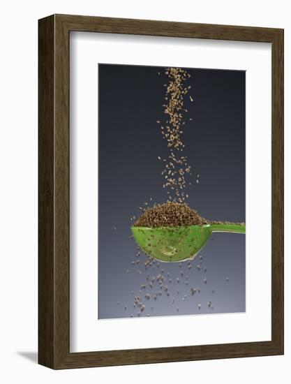 1 Tablespoon Celery Seed-Steve Gadomski-Framed Photographic Print