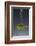 1 Tablespoon Celery Seed-Steve Gadomski-Framed Photographic Print