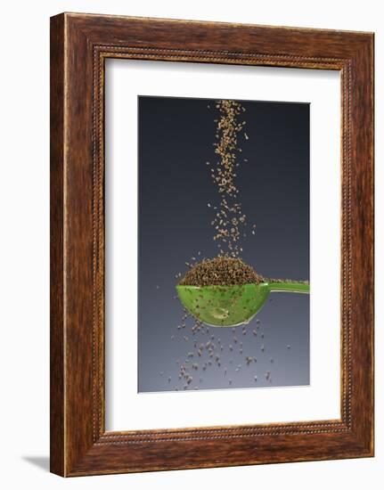 1 Tablespoon Celery Seed-Steve Gadomski-Framed Photographic Print