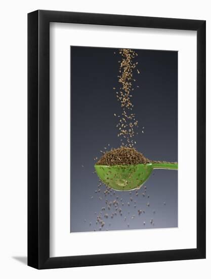 1 Tablespoon Celery Seed-Steve Gadomski-Framed Photographic Print