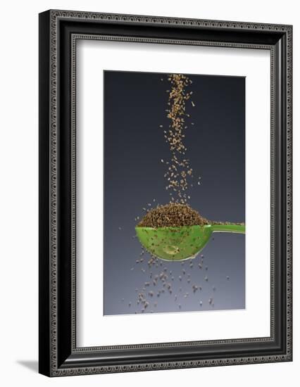 1 Tablespoon Celery Seed-Steve Gadomski-Framed Photographic Print