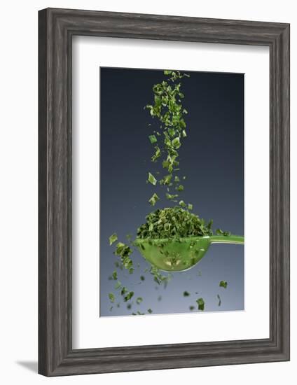 1 Tablespoon Chives-Steve Gadomski-Framed Photographic Print