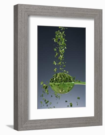 1 Tablespoon Chives-Steve Gadomski-Framed Photographic Print