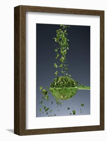 1 Tablespoon Chives-Steve Gadomski-Framed Photographic Print