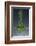 1 Tablespoon Chives-Steve Gadomski-Framed Photographic Print