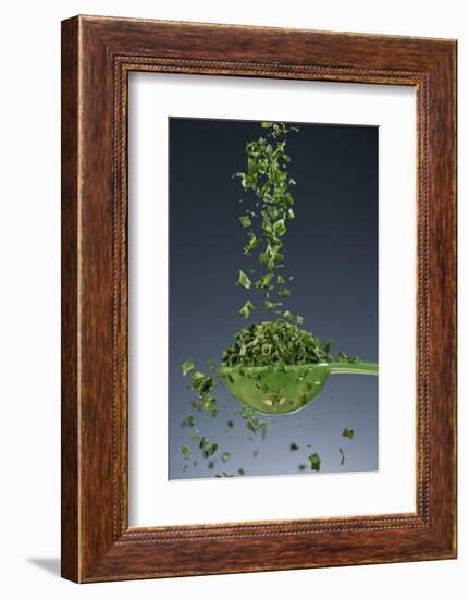 1 Tablespoon Chives-Steve Gadomski-Framed Photographic Print