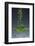 1 Tablespoon Chives-Steve Gadomski-Framed Photographic Print