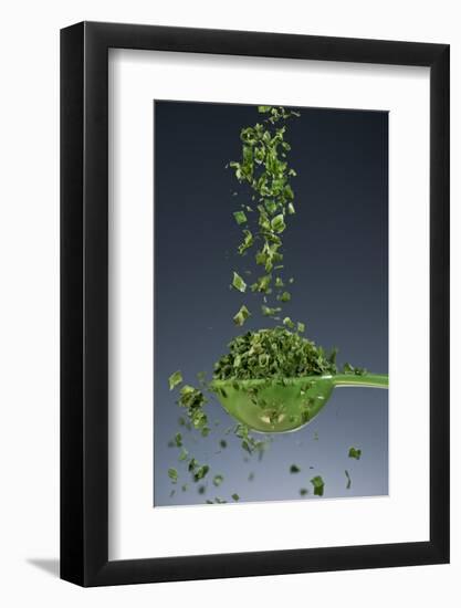 1 Tablespoon Chives-Steve Gadomski-Framed Photographic Print