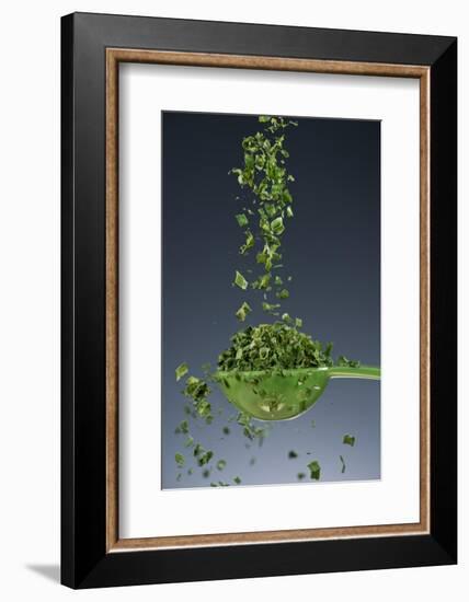 1 Tablespoon Chives-Steve Gadomski-Framed Photographic Print