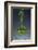 1 Tablespoon Chives-Steve Gadomski-Framed Photographic Print