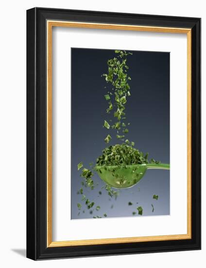 1 Tablespoon Chives-Steve Gadomski-Framed Photographic Print