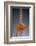 1 Tablespoon Cinnamon-Steve Gadomski-Framed Photographic Print