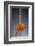 1 Tablespoon Cinnamon-Steve Gadomski-Framed Photographic Print