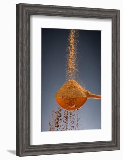 1 Tablespoon Cinnamon-Steve Gadomski-Framed Photographic Print