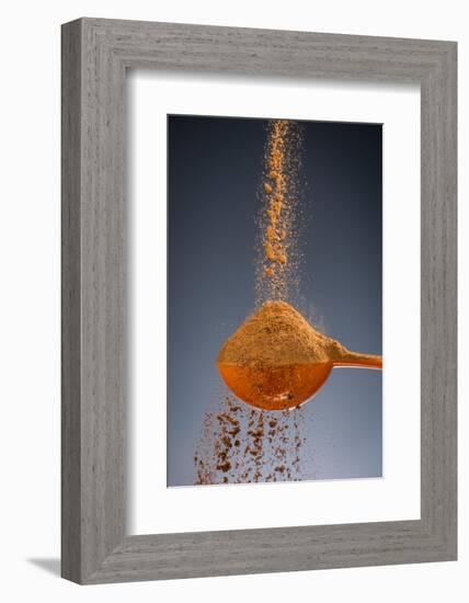 1 Tablespoon Cinnamon-Steve Gadomski-Framed Photographic Print