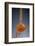 1 Tablespoon Cinnamon-Steve Gadomski-Framed Photographic Print