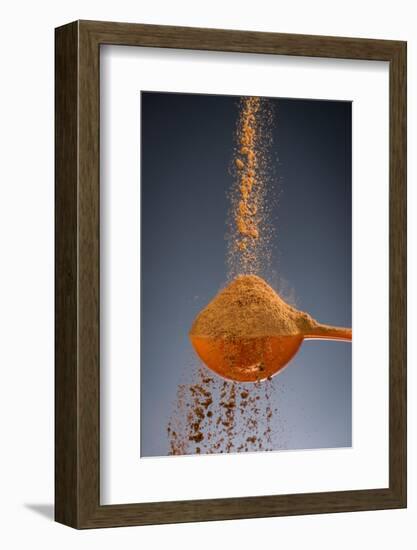 1 Tablespoon Cinnamon-Steve Gadomski-Framed Photographic Print