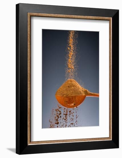 1 Tablespoon Cinnamon-Steve Gadomski-Framed Photographic Print