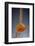 1 Tablespoon Cinnamon-Steve Gadomski-Framed Photographic Print