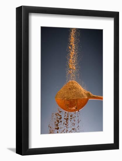 1 Tablespoon Cinnamon-Steve Gadomski-Framed Photographic Print