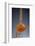 1 Tablespoon Cinnamon-Steve Gadomski-Framed Photographic Print