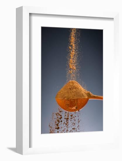 1 Tablespoon Cinnamon-Steve Gadomski-Framed Photographic Print